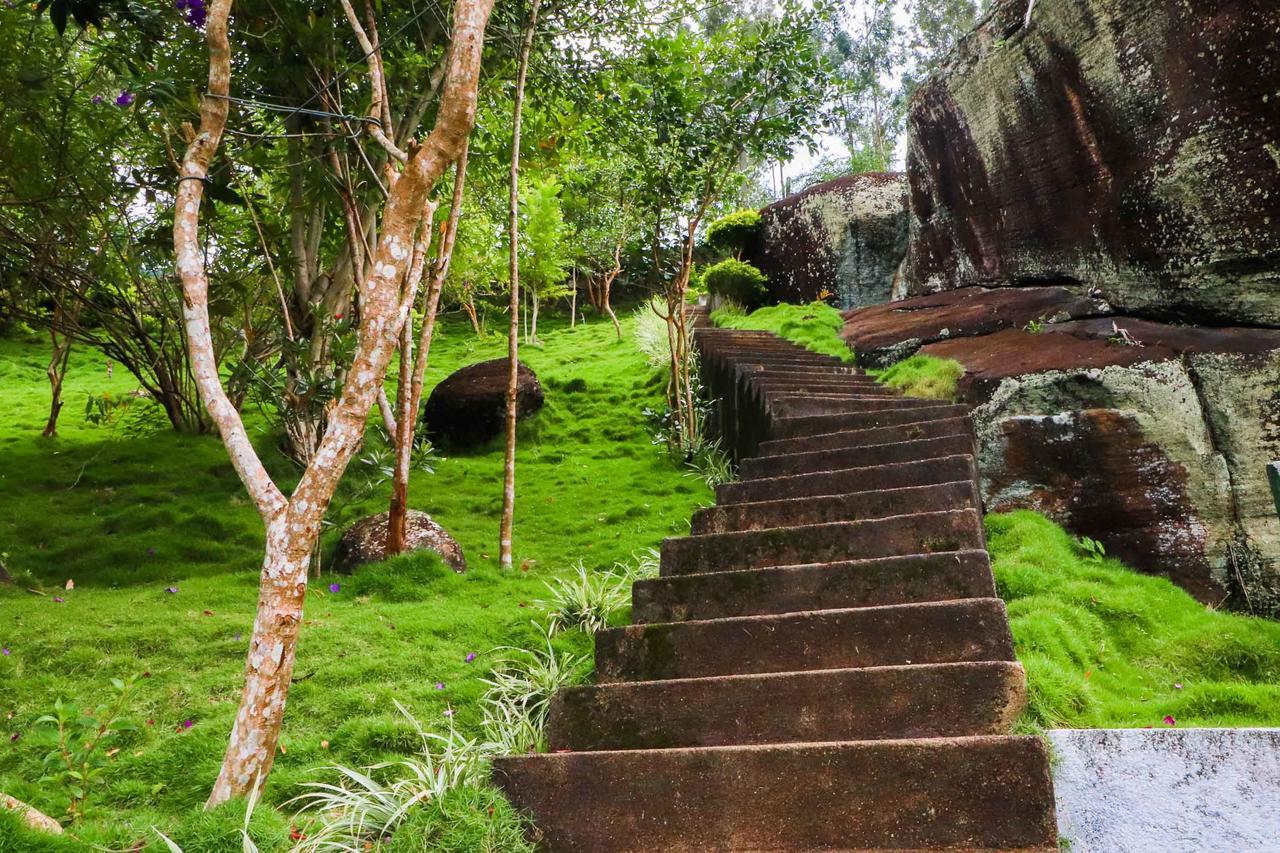 The Waterfall Villas Talawakele المظهر الخارجي الصورة